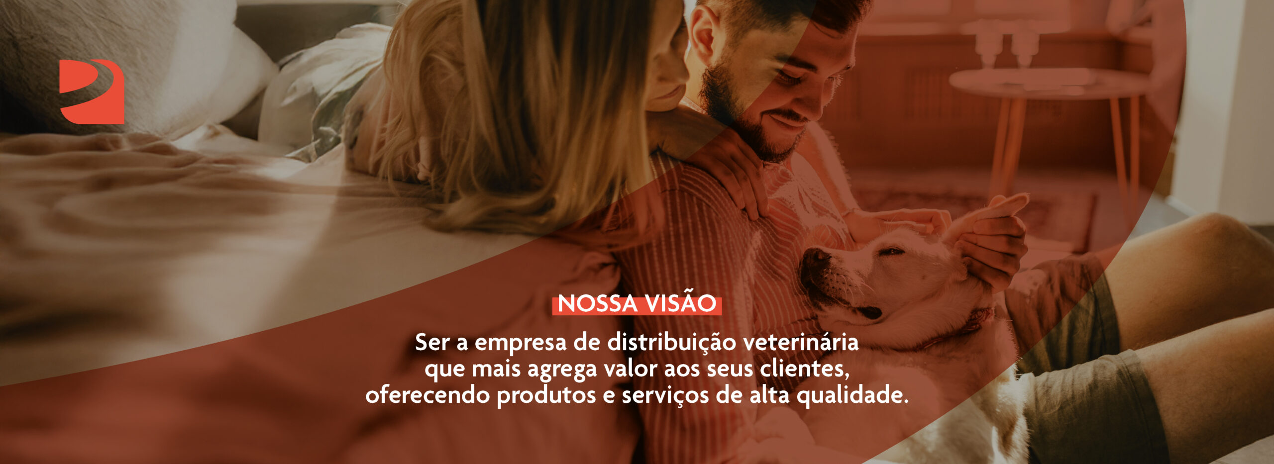 banner visão