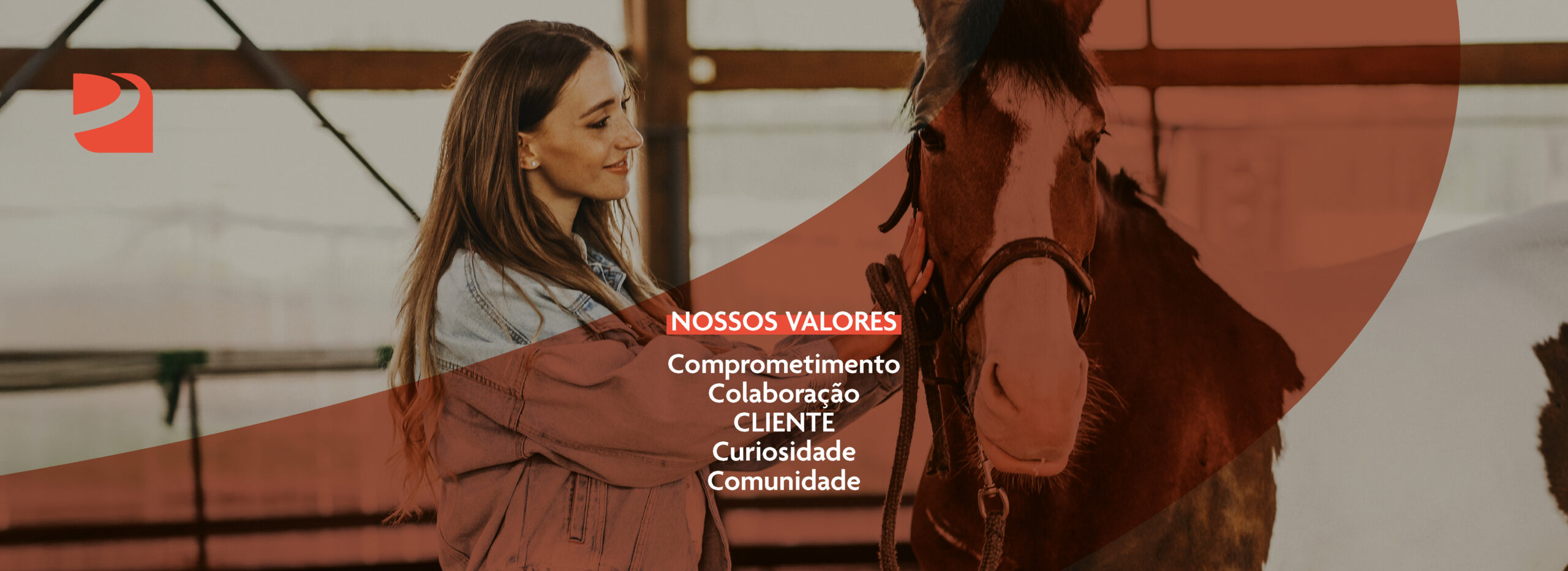 banner valores