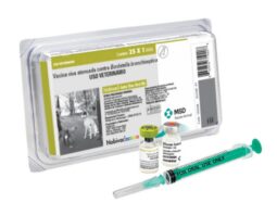 Nobivac Intra-Trac Oral BB 25X1 DS