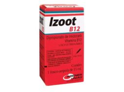 Izoot B12 Inj 15ml