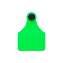 Brinco Bovino Grande Verde 151 a 175 Allflex